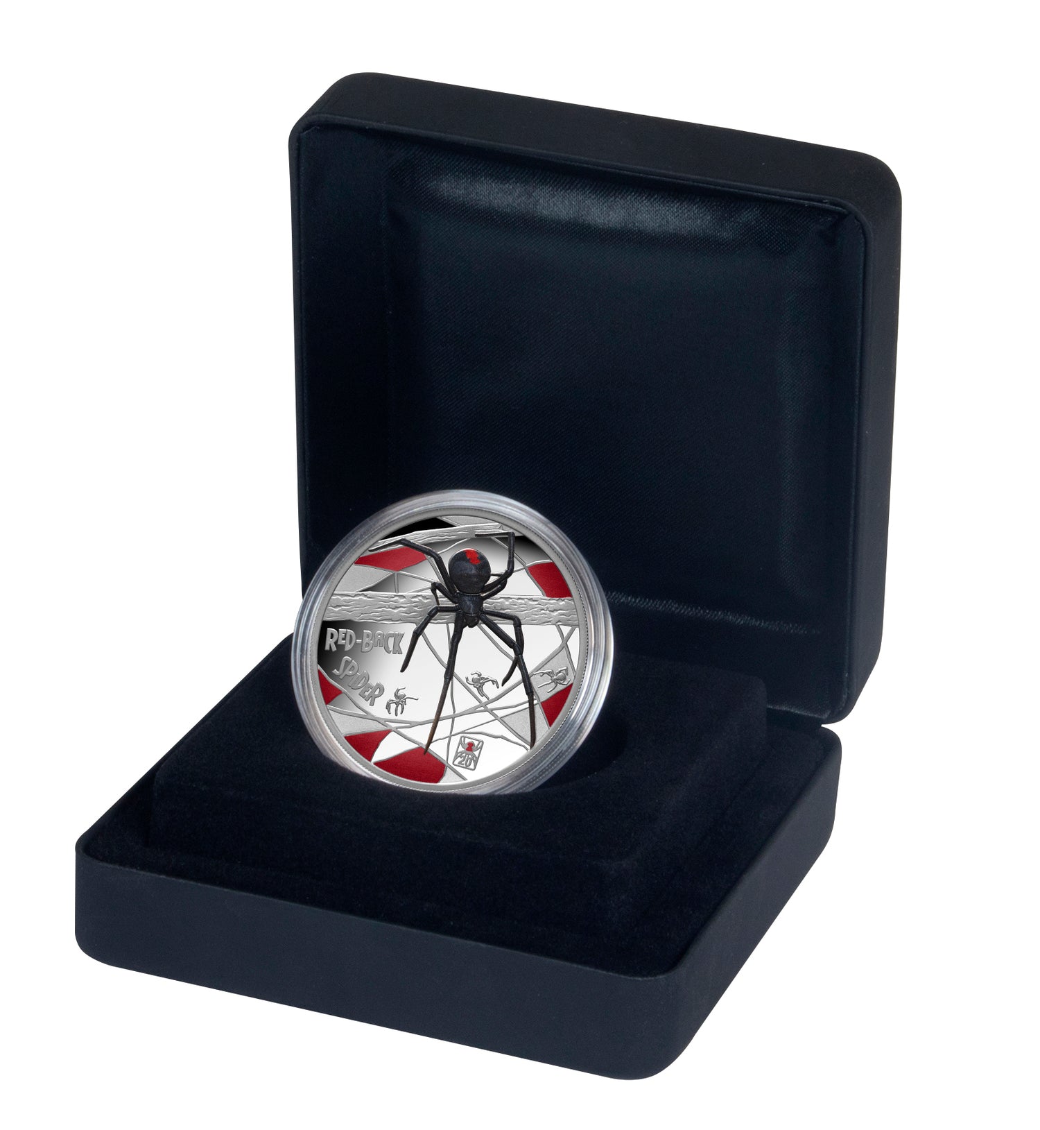 Silver coin with spider design in a black display case