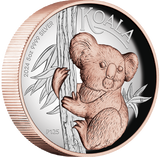 Australia 2024 $8 AUSTRALIAN KOALA 5 Oz .9999 Silver Coin Rose Gold Gilding