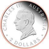Australia 2025 $2 Wedge-Tailed Eagle 2oz .9999 Silver Proof Rose Gold Gilded Ultra High Relief Coin PERTH MINT