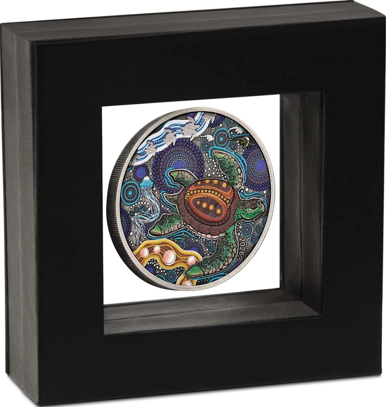 A square black shadow box display frame showcasing a circular silver coin  suspended in a latex floating frame with a colorful, detailed sea turtle illustration on a white background insert.