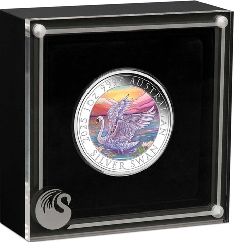 Silver coin with a swan design in a black display case