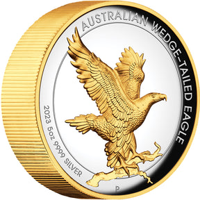 A gilded coin featuring an image of a wedge-tailed eagle with outstretched wings on a branch, alongside inscriptions and the Perth Mint's 'P' mintmark.