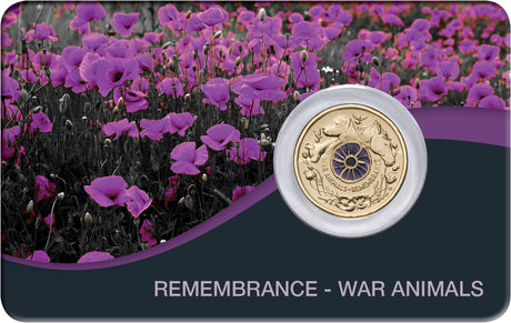 Front of the 2024 Remembrance War Animals coin pack, showing the purple poppy coin mounted on a card with a field of purple flowers.