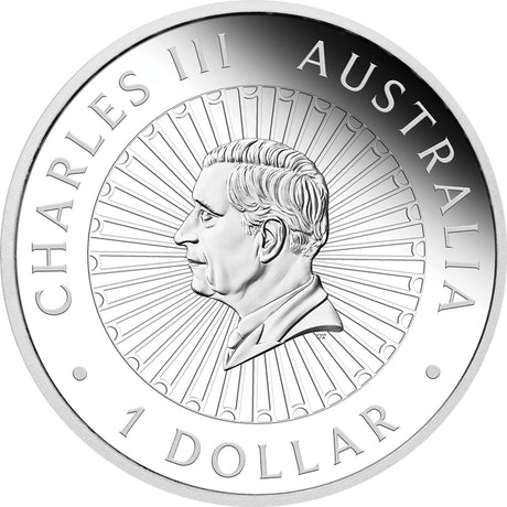 Silver coin with a portrait of Charles III and text 'Charles III Australia 1 Dollar' on a white background