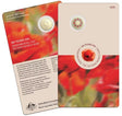 Card presentation: Front and back of the 2025 $2 WWII 80th Anniversary C mintmark coin card, with red poppy imagery.