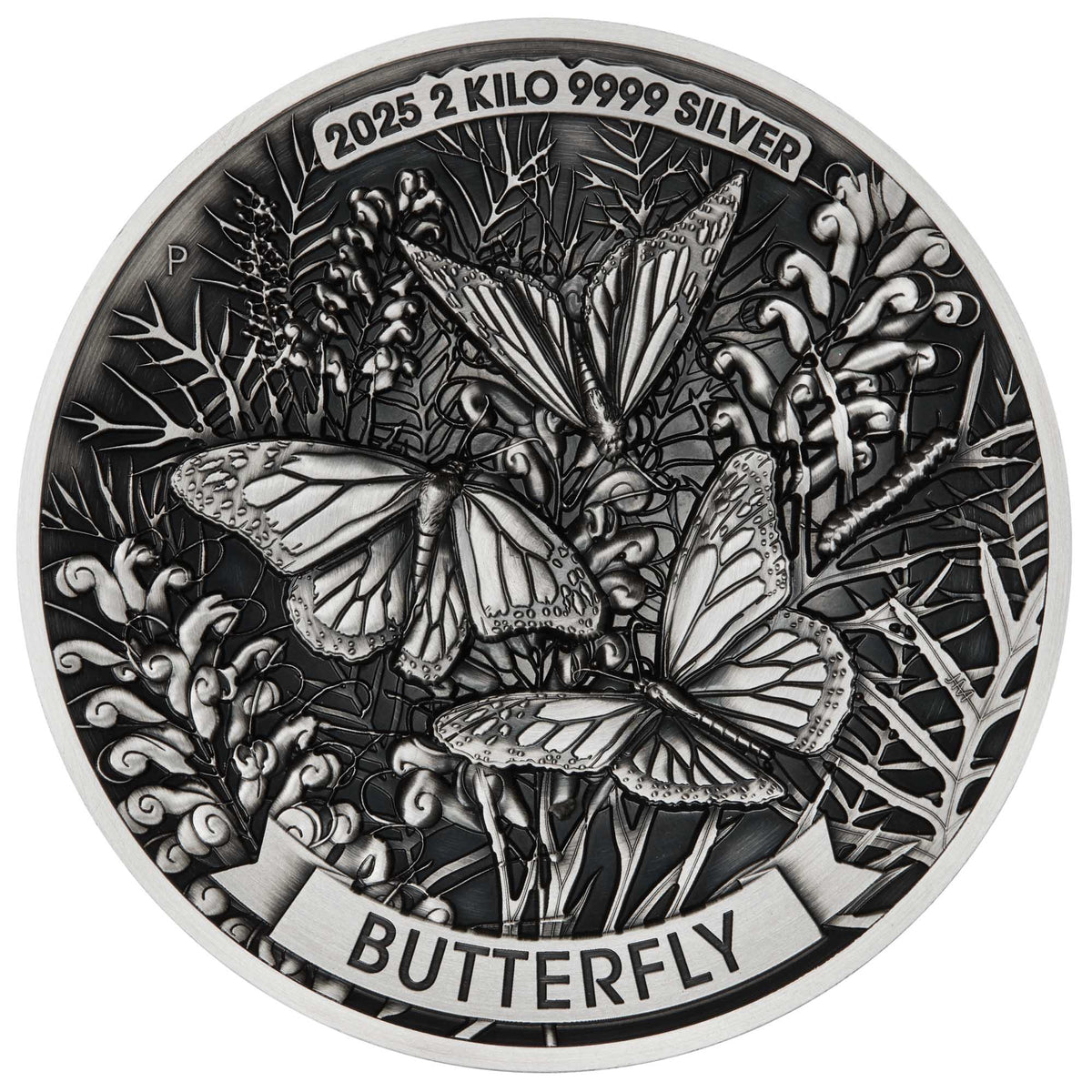 Silver butterfly coin with detailed design and text on a white background