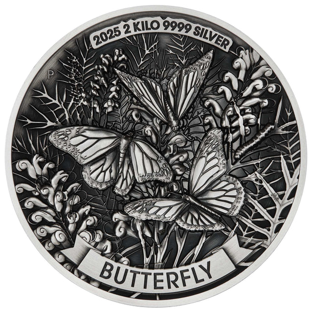 Silver butterfly coin with detailed design and text on a white background