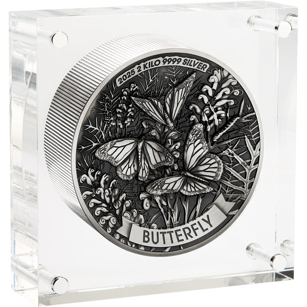 Silver butterfly coin in a clear display case