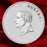 Obverse: King Charles III portrait on the Australian Swan silver coin, with Australia and 1 Dollar inscriptions.