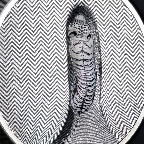 Close-up of the white tiger and striped optical illusion on the 2026 Camouflage of Nature silver coin.