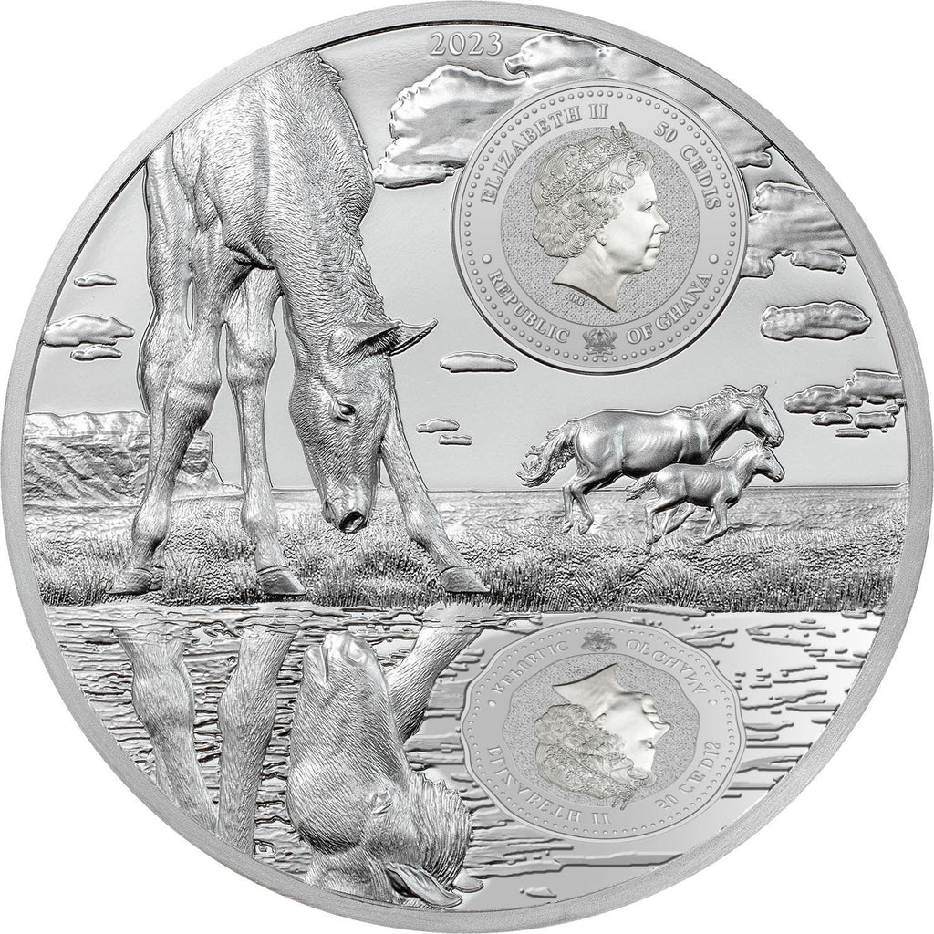 Ghana 2023 50 Cedis STALLION Growing Up 5oz Silver Proof and Black Proof Coin (First time 2 Finishes) Obverse