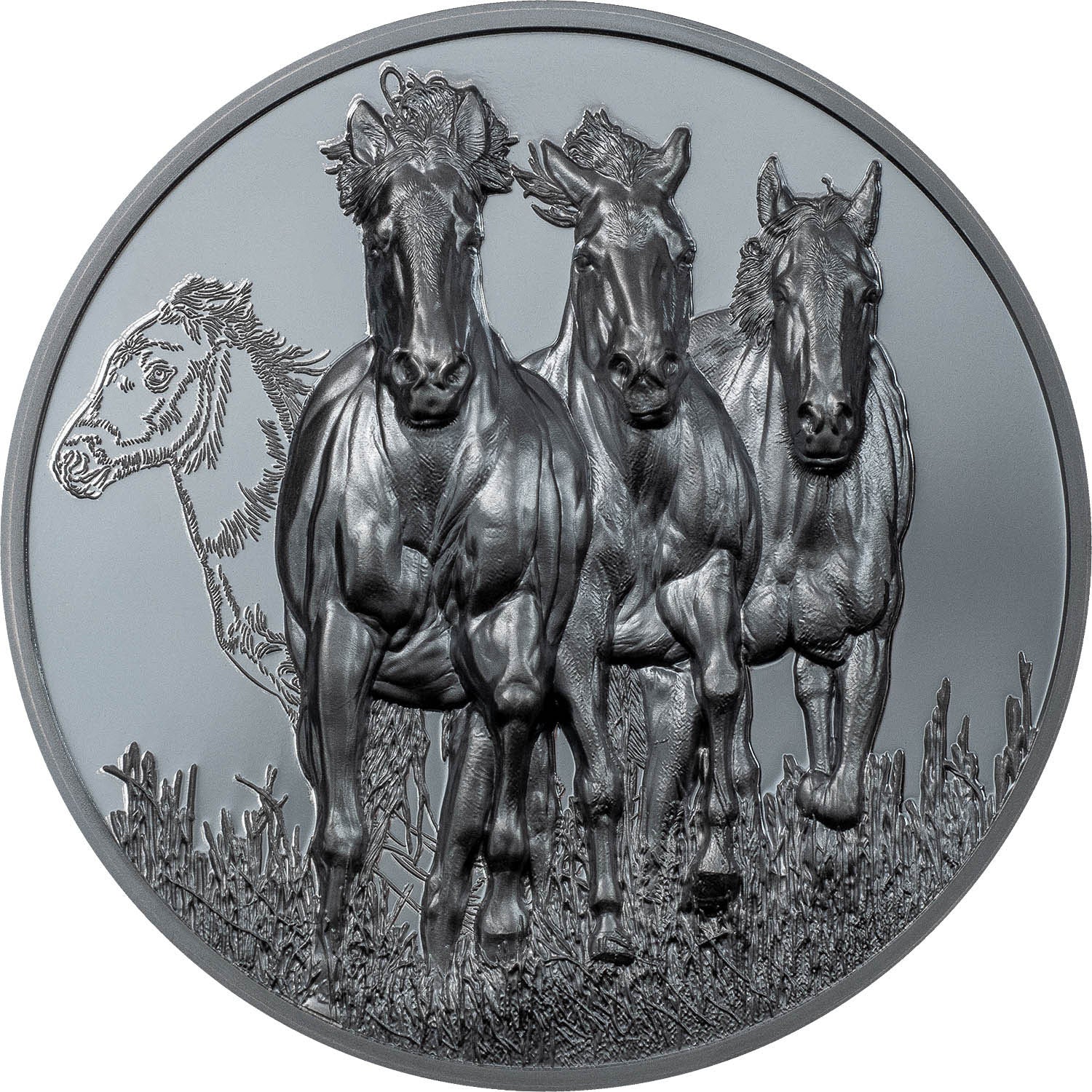 Ghana 2023 50 Cedis STALLION Growing Up 5oz Silver Proof and Black Proof Coin (First time 2 Finishes) Reverse