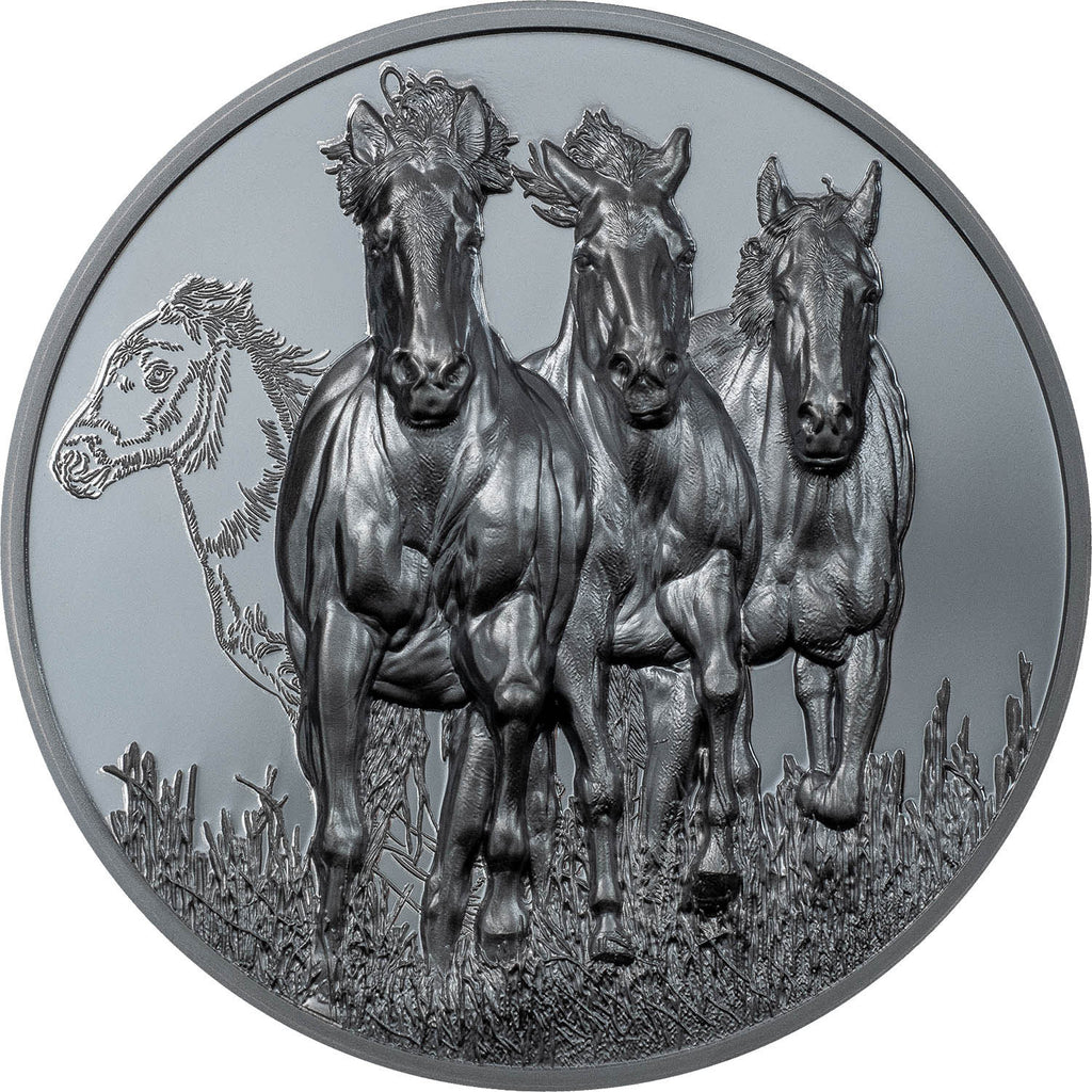 Ghana 2023 50 Cedis STALLION Growing Up 5oz Silver Proof and Black Proof Coin (First time 2 Finishes) Reverse