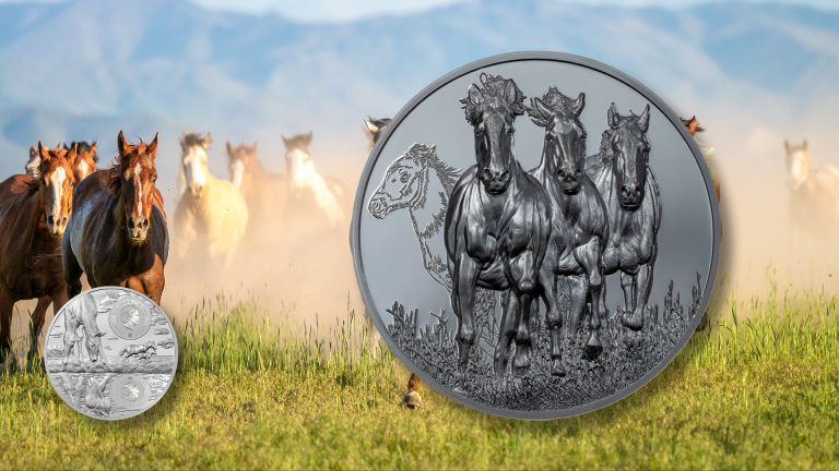 Ghana 2023 50 Cedis STALLION Growing Up 5oz Silver Proof and Black Proof Coin (First time 2 Finishes) Banner