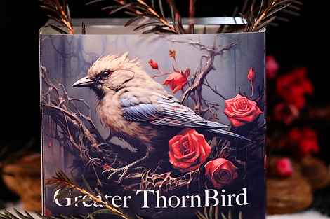 Gabon 2025 3000 Francs CFA Greater Thorn Bird 3oz .999 Antique Silver High relief Box
