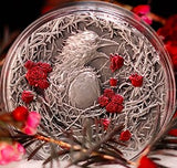 Gabon 2025 3000 Francs CFA Greater Thorn Bird 3oz .999 Antique Silver High relief Box Detail Detail UHR