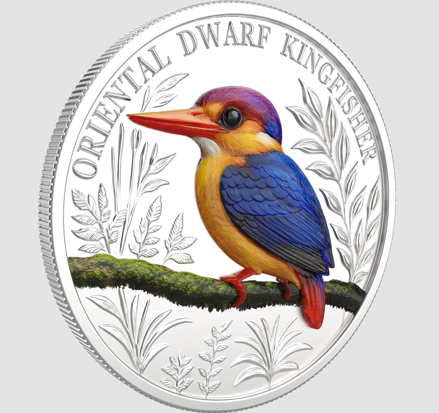 Silver coin with a colorful illustration of an Oriental Dwarf Kingfisher on a white background