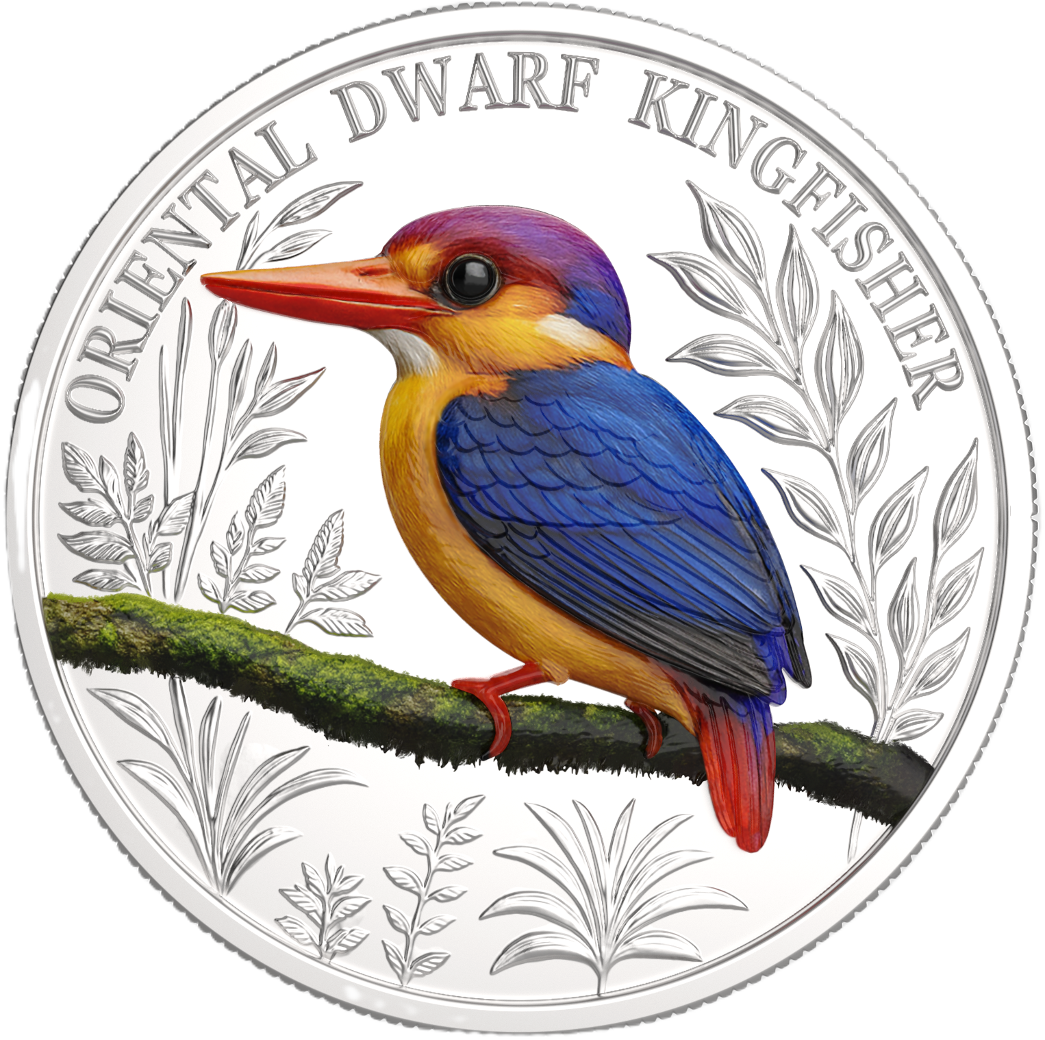 Ascension Island 2025 $1 ORIENTAL DWARF KINGFISHER 1oz .999 Silver