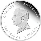 Australia 2025 Australian Lunar Series III Year of the Snake 1oz .9999 Silver Proof Coin Perth Mint