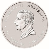Australia 2024 $1  Chinese Myths and Legends - Four Guardians Lan 1oz.9999 Silver Carded Coloured BU Perth Mint