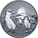 #111 CERTIFICATE Niue 2024 $1 Australia at Night Fairy Penguins 1oz Silver Black Proof Coin