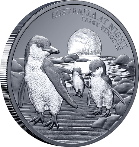 #111 CERTIFICATE Niue 2024 $1 Australia at Night Fairy Penguins 1oz Silver Black Proof Coin