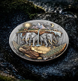 Low-angle reverse: Akupara coin resting on dark rock, showing its raised turtle and elephant design.