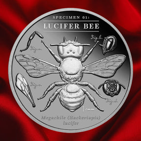 Reverse, red background: 2026 Lucifer Bee 2 oz Black Proof silver coin showing the bee, anatomical studies and Specimen 01 inscription on red satin.