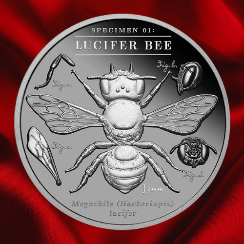 Reverse, red background: 2026 Lucifer Bee 2 oz Black Proof silver coin showing the bee, anatomical studies and Specimen 01 inscription on red satin.