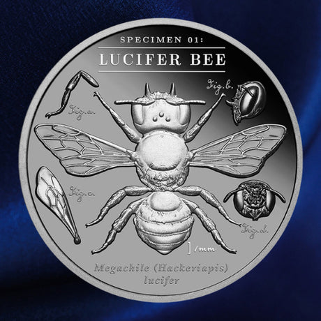 Reverse, blue background: 2026 Lucifer Bee 2 oz Black Proof silver coin showing the bee and scientific-study details on blue satin.