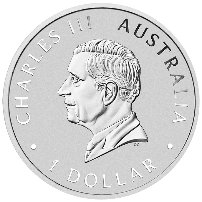 Australia 2024 $1 Wombat Coloured 1oz .9999 Silver Coin in Card Perth Mint