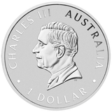 Australia 2024 $1 Wombat Coloured 1oz .9999 Silver Coin in Card Perth Mint
