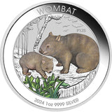 Australia 2024 $1 Wombat Coloured 1oz .9999 Silver Coin in Card Perth Mint
