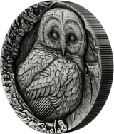 Samoa 2024 $2 TAWNY OWL STRIX ALUCO TREE HOLLOW 1 oz .999 Antique Silver Ultra High Relief Reverse