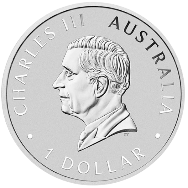 Australia 2024 $1 AUSTRALIAN BRUMBY - 1 oz .9999 Pure Silver Coloured Coin 1500 Made PERTH MINT Obverse