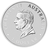 PRE-ORDER Australia 2025 $1 KOOKABURRA WMF Berlin Colorized with Amplemann Privy .9999 1 oz Silver