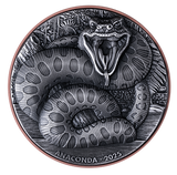 Vanuatu 2025 10 Vatu Anaconda Double .999 10g Silver 145g Cu Giant Dinosaurs Coin