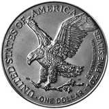 USA 2024 $1 ROYAL CHAMPION: Knights of Honour American Eagle 1 oz .999 Silver Coin