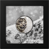 Mongolia 2024 500T Snow Leopard 1 Oz .999 Silver Proof Coin CIT Smartminting®