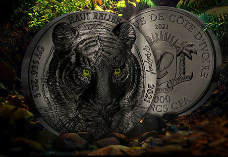 Ivory Coast 2021 5000 Francs Tiger Big 5 Asia 5 Oz Silver Black Matt Ceramic Finish