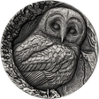 Samoa 2024 $2 TAWNY OWL STRIX ALUCO TREE HOLLOW 1 oz .999 Antique Silver UHR Reverse
