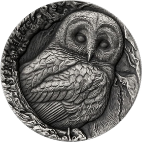 Samoa 2024 $2 TAWNY OWL STRIX ALUCO TREE HOLLOW 1 oz .999 Antique Silver UHR Reverse
