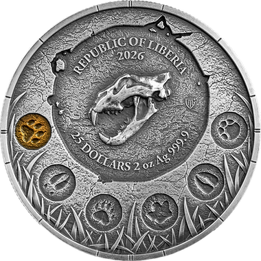 Silver coin with a panther design and text 'Republic of Amberia 2026' on a white background