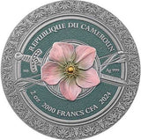 Cameroon 2024 2000 Francs CFA AMAZON Femina Bellator 2oz Coloured Antique Silver Coin