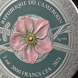 Cameroon 2024 2000 Francs CFA AMAZON Femina Bellator 2oz Coloured Antique Silver Coin