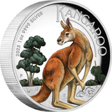 Australian Kangaroo 2023 1oz Silver Proof High Relief Coloured Coin Perth Mint