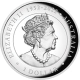 Australian Kangaroo 2023 1oz Silver Proof High Relief Coloured Coin Perth Mint