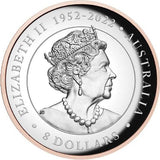 Australia 2023 $8 AUSTRALIAN KOALA 5 Oz .9999 Silver Coin Rose Gold Gilding