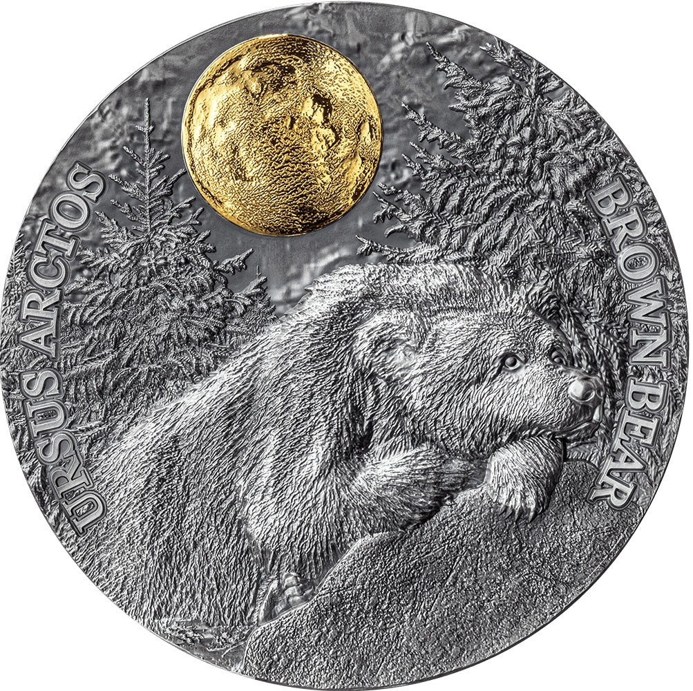 Niue 2023 $5 BROWN BEAR Wildlife in the Moonlight 2 Oz .999 Antique Silver Coin