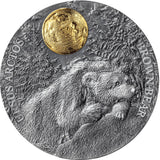 Niue 2023 $5 BROWN BEAR Wildlife in the Moonlight 2 Oz .999 Antique Silver Coin